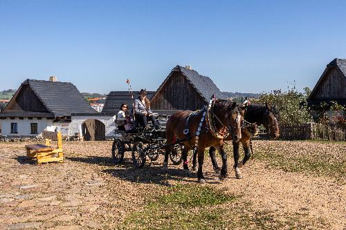 SLAVNOSTI BRAMBOR a farm��sk� trhy